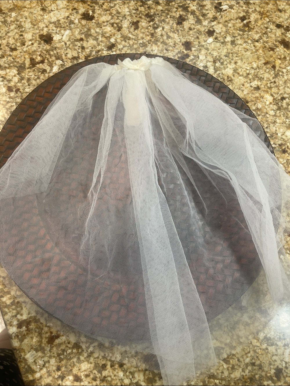 Victoria's Secret White Tulle Veil Hair Clip